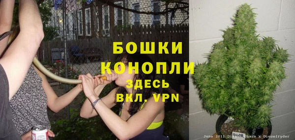 2c-b Сатка
