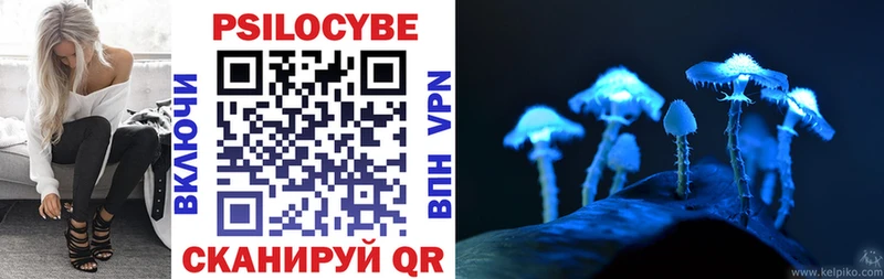Купить закладки  Пустошка  Галлюциногенные грибы Magic Shrooms 